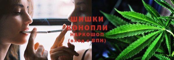 mdpv Богородицк