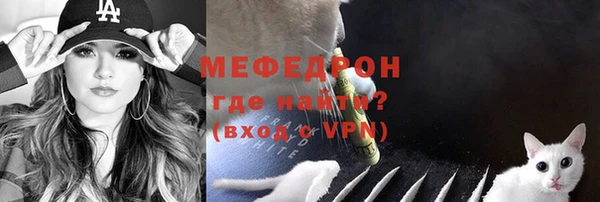 mdpv Богородицк