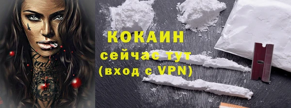 соль ск Богородск