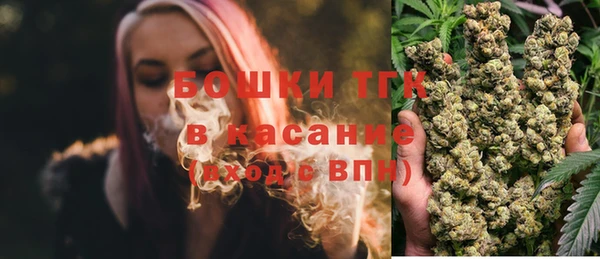 соль ск Богородск