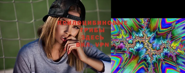 mdpv Богородицк