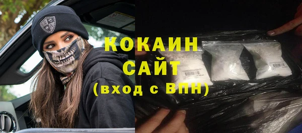 mdpv Богородицк